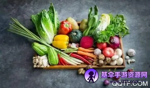 田东生活宝2025官方正版 田东生活宝2025官方正版