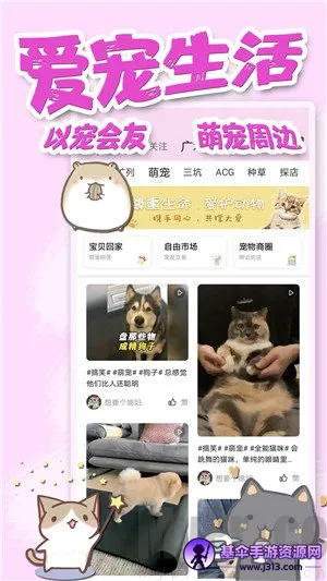 ������(�����罻ƽ̨)