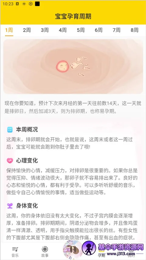 ̥�����ֺ�(̥����������)