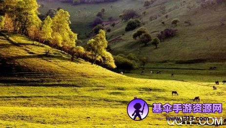 ��¤��2026�ٷ����°汾