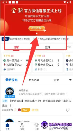 球进了 球进了