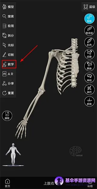 解剖大师 解剖大师