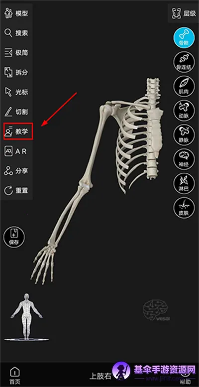 解剖大师 解剖大师