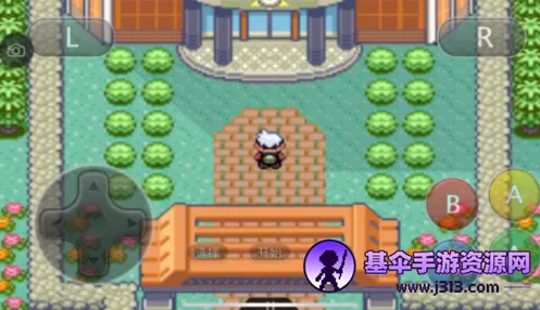 口袋妖怪神兽领域内置修改器 口袋妖怪神兽领域内置修改器