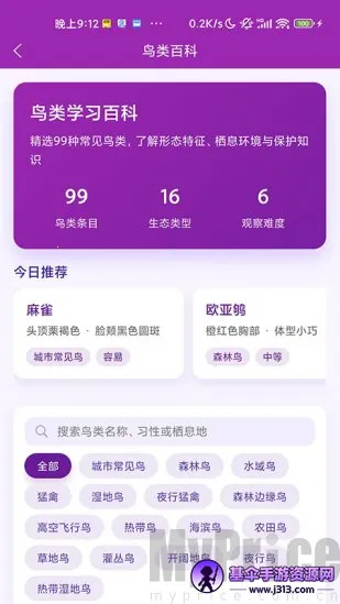 ʶ��(����ʶ�𹤾�)