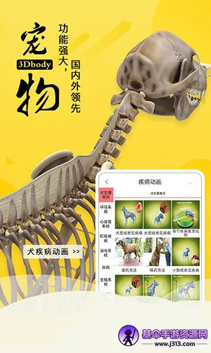 3dbody��������
