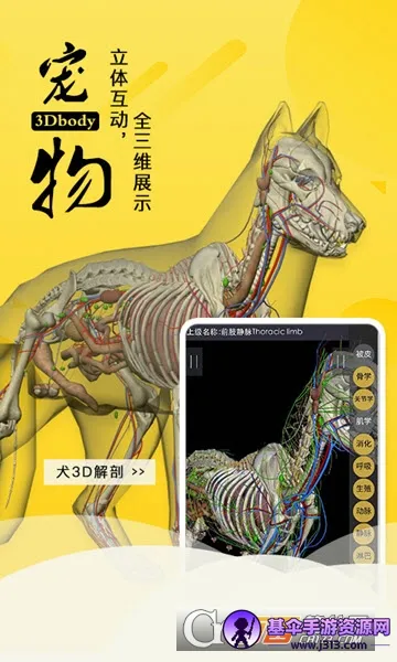 3dbody��������