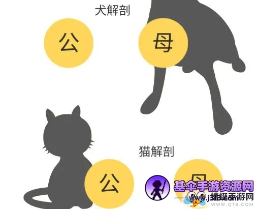 3dbody������������