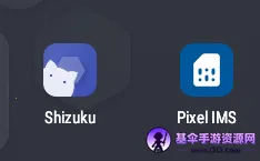 Pixel IMS(��������ͨ��)