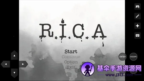 RICA�ֻ���