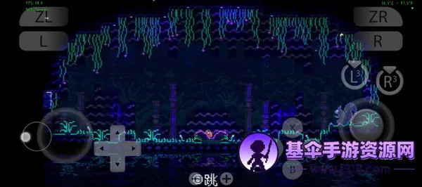 ���ﾮAnimalWell