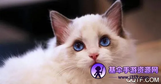 ��è(�����罻ƽ̨)