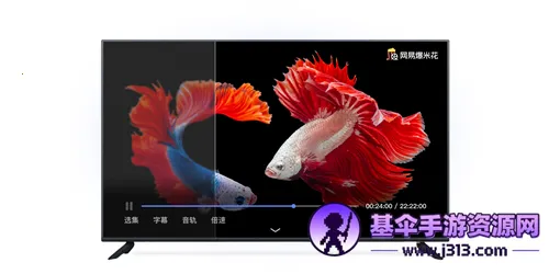 ���ױ��׻�(��Ƶ��������)