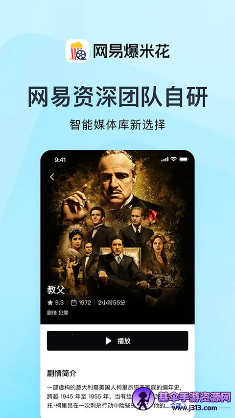 ���ױ��׻�(��Ƶ��������)