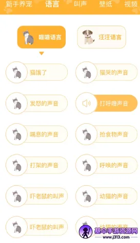 ����(���ɶ����罻����)