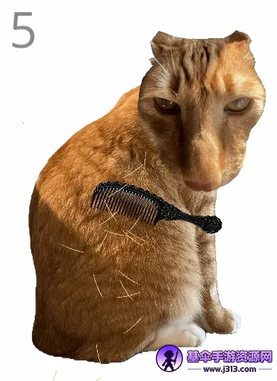 ��è��ë2026���ذ�װ