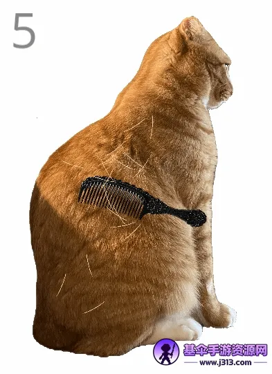 ��è��ë2026���ذ�װ
