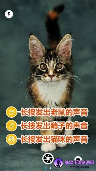 è�����2026���°汾