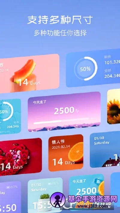 ����С��� Top Widgets(���涨�ƹ���)