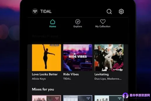 TIDAL��������(����������ƽ̨)