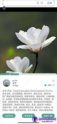 ʶ����ɨһɨʶ��ֲ�����������ֻ���